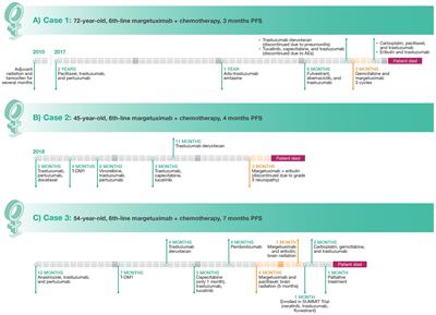 Expanding treatment options for patients with HER2+ metastatic breast cancer with margetuximab plus chemotherapy: a case report series